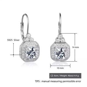Luxury 100% Solid 925 Silver Sassy Earrings